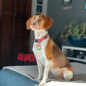 Meet your Posher, Denise